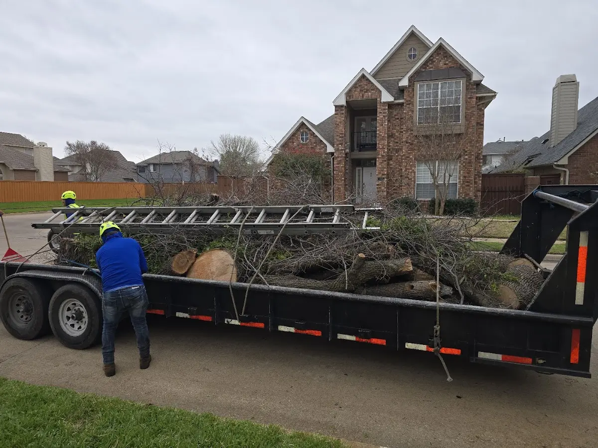 Expert Lot Clearing with proper safety equipment in Delavan